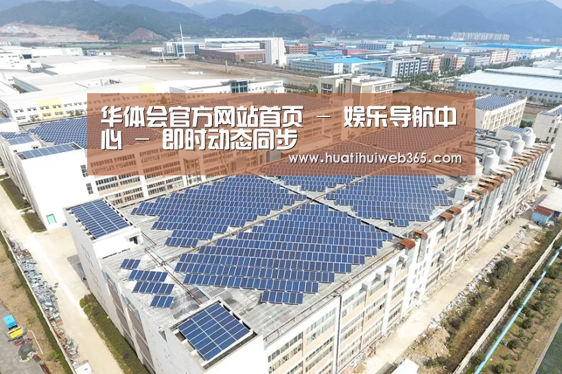 案例展示一