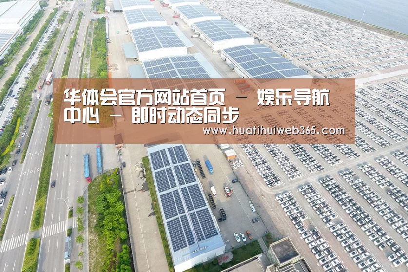 案例展示一