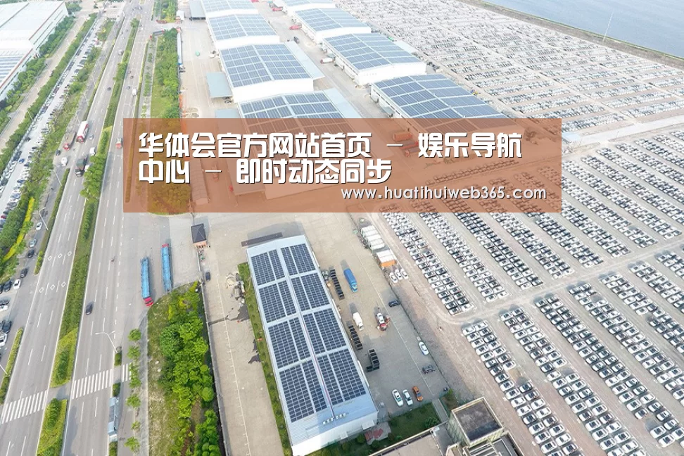 案例展示一