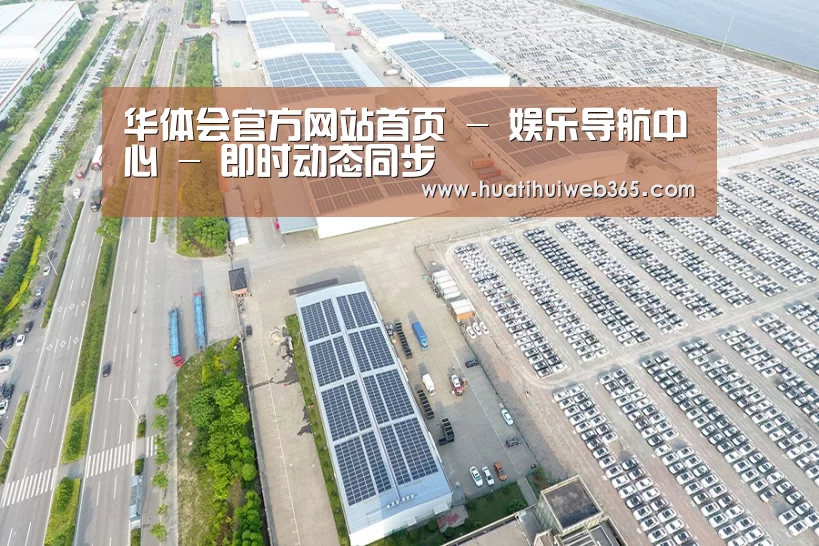 案例展示四