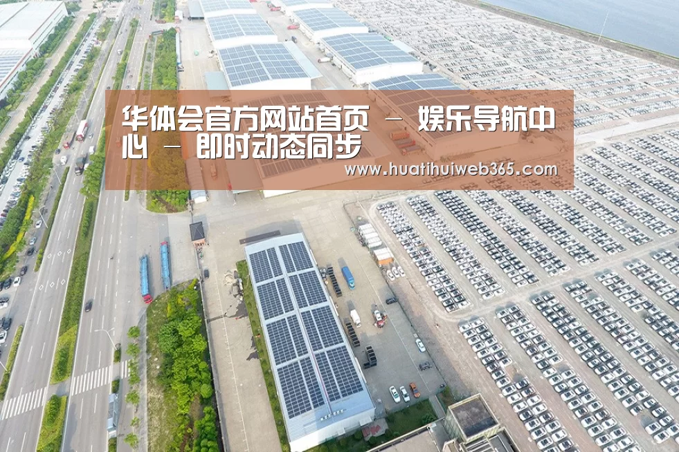 案例展示三