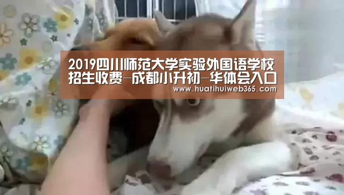 2019四川师范大学实验外国语学校招生收费-成都小升初-华体会入口(图2) 华体会频道