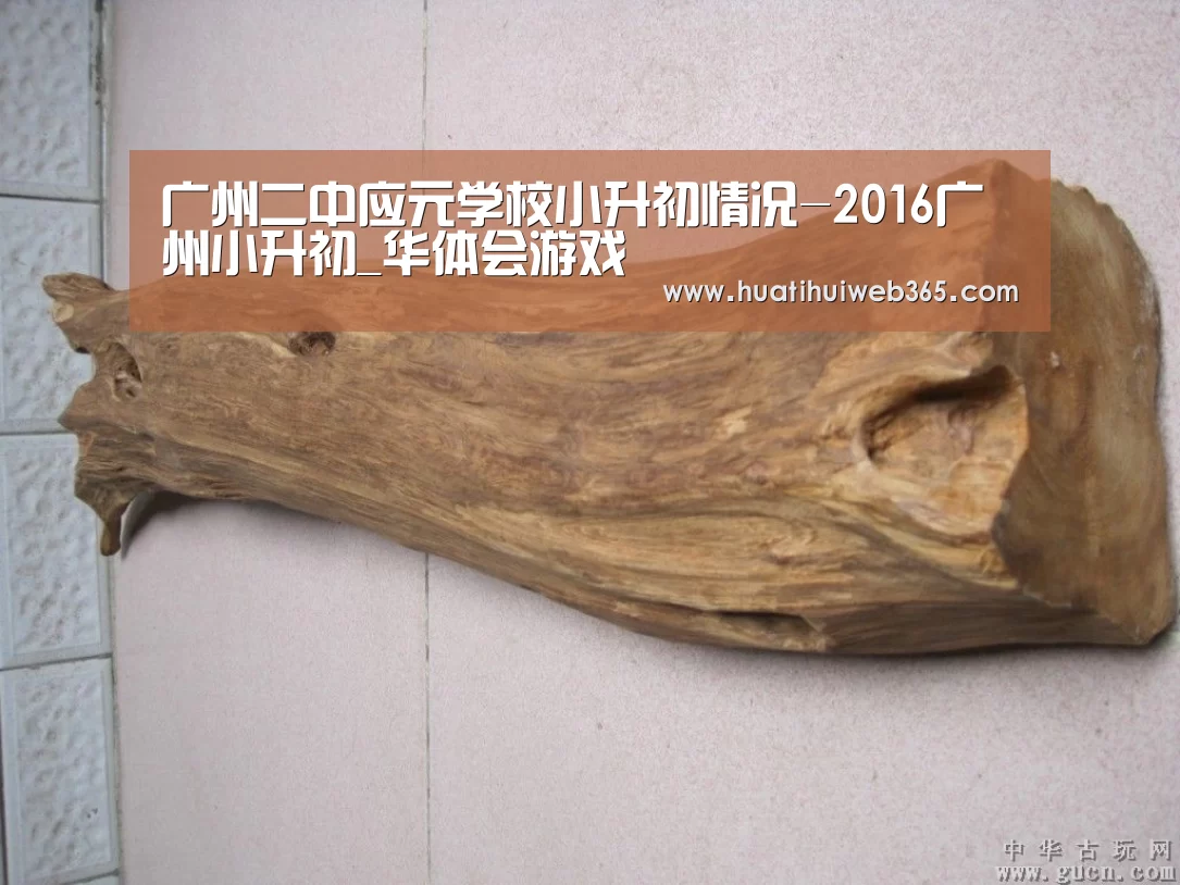 广州二中应元学校小升初情况-2016广州小升初_华体会游戏(图3) 华体会游戏