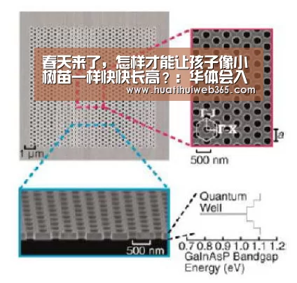 春天来了,怎样才能让孩子像小树苗一样快快