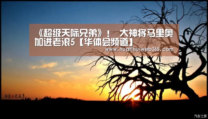 华体会频道