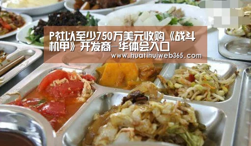 P社以至少750万美元收购《战斗机甲》开发商-华体会入口(图2) 华体会频道