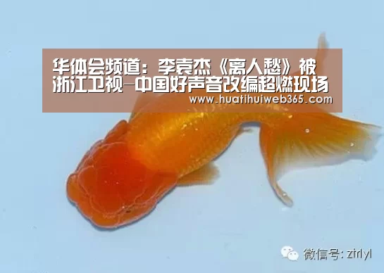 华体会游戏